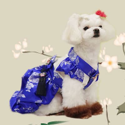 Dog Hanbok _SOO_ _RED OR BLUE_